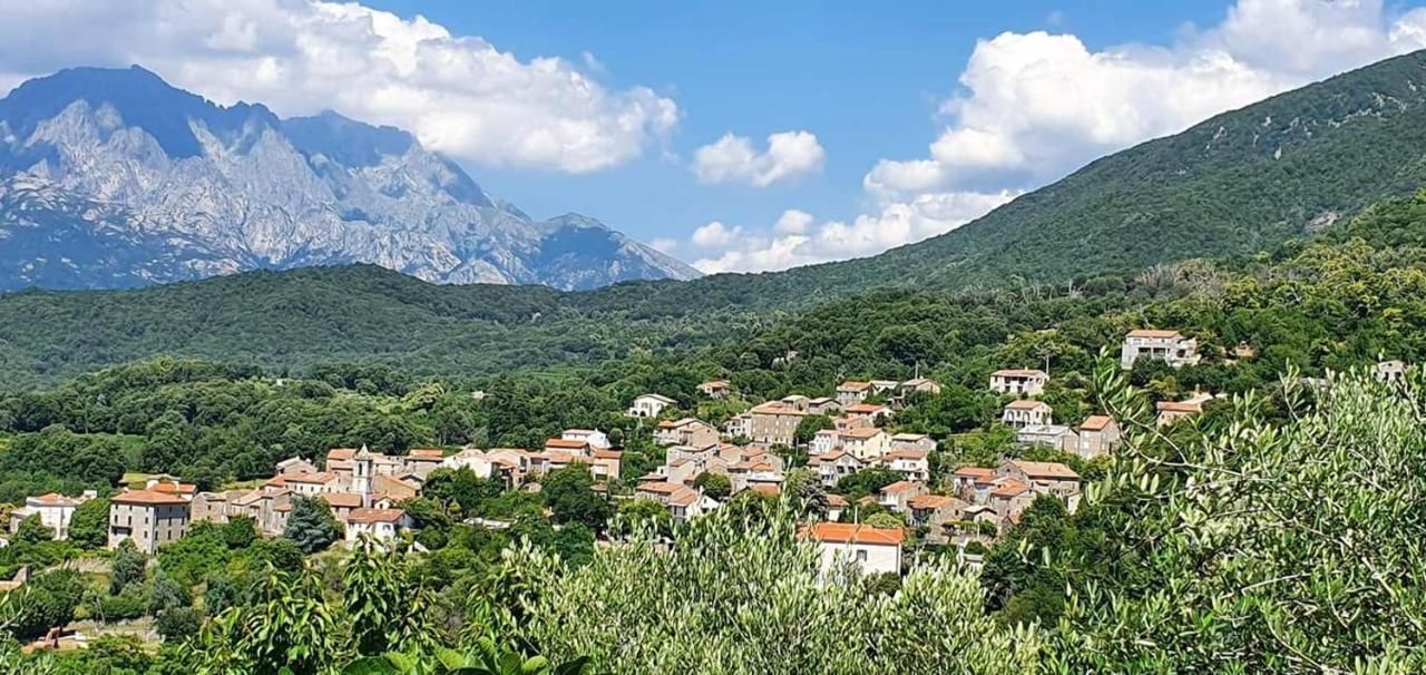 A Casa Catalina B&B Ucciani المظهر الخارجي الصورة