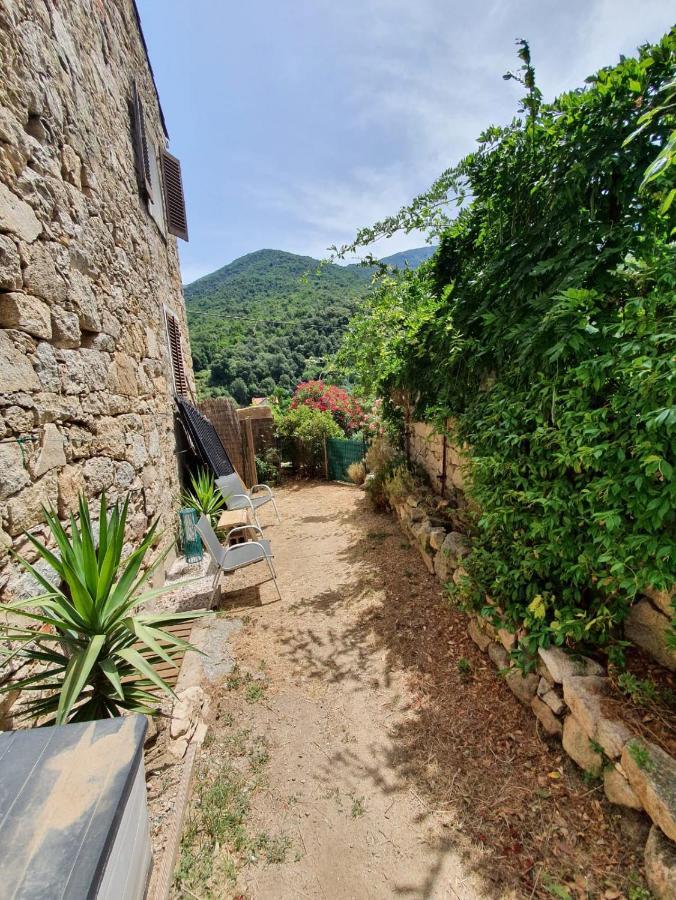 A Casa Catalina B&B Ucciani المظهر الخارجي الصورة